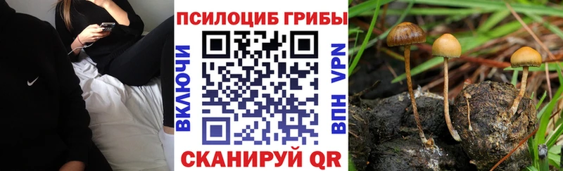 Галлюциногенные грибы мицелий  Хилок 
